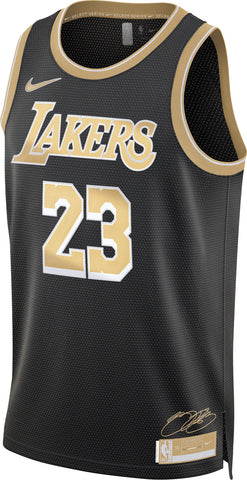 Nike Men's NBA Los Angeles Lakers Lebron James 2024/25 City