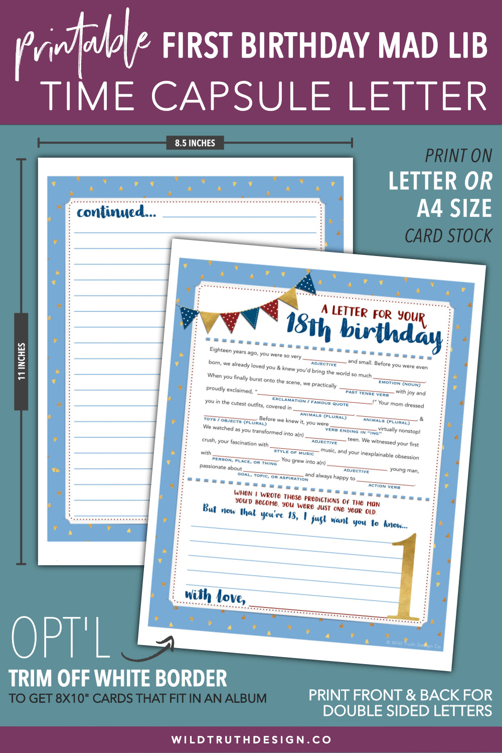 time-capsule-letter-madlib-boy-s-first-birthday-wild-truth-design-co