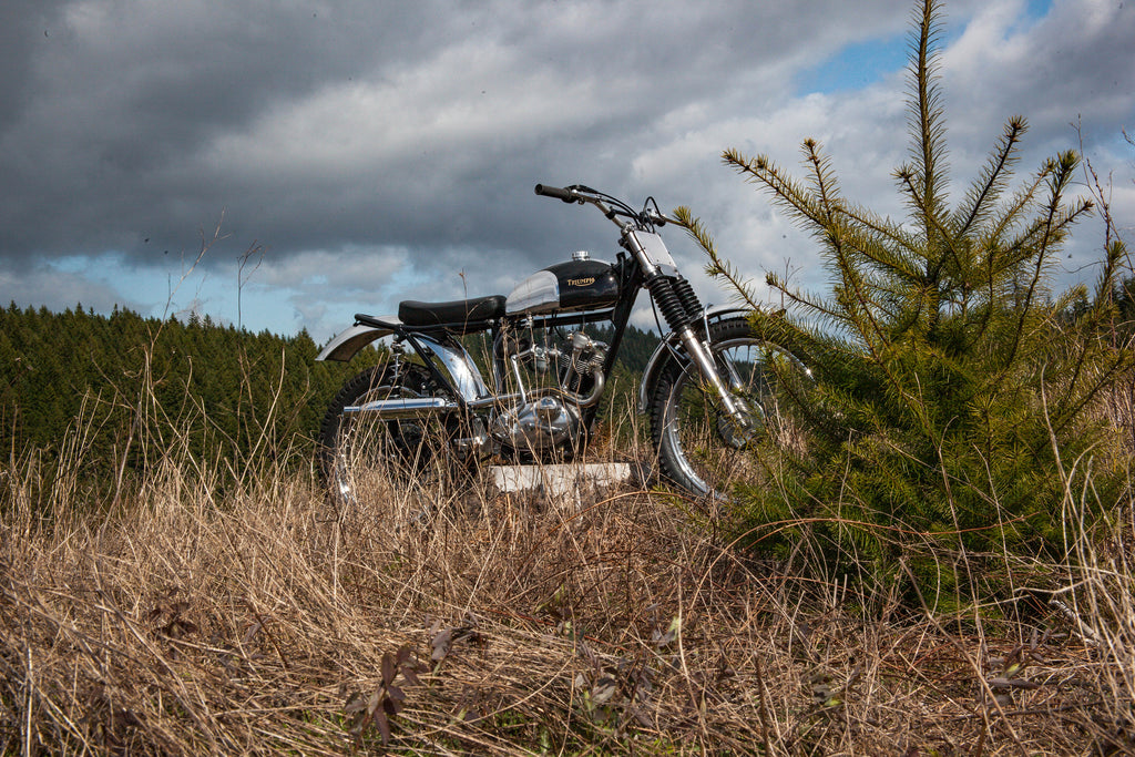 triumph tiger cub mountain cub