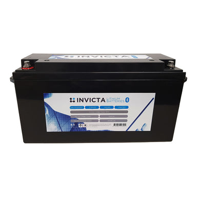 Big Wei 12V 100AH LiFePO4 Battery, Aus Made 4x4, boat, camping power s —