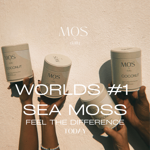 Worlds #1 Sea moss.png__PID:9f402ebe-1420-4fd6-a977-c1a892ffb4f6