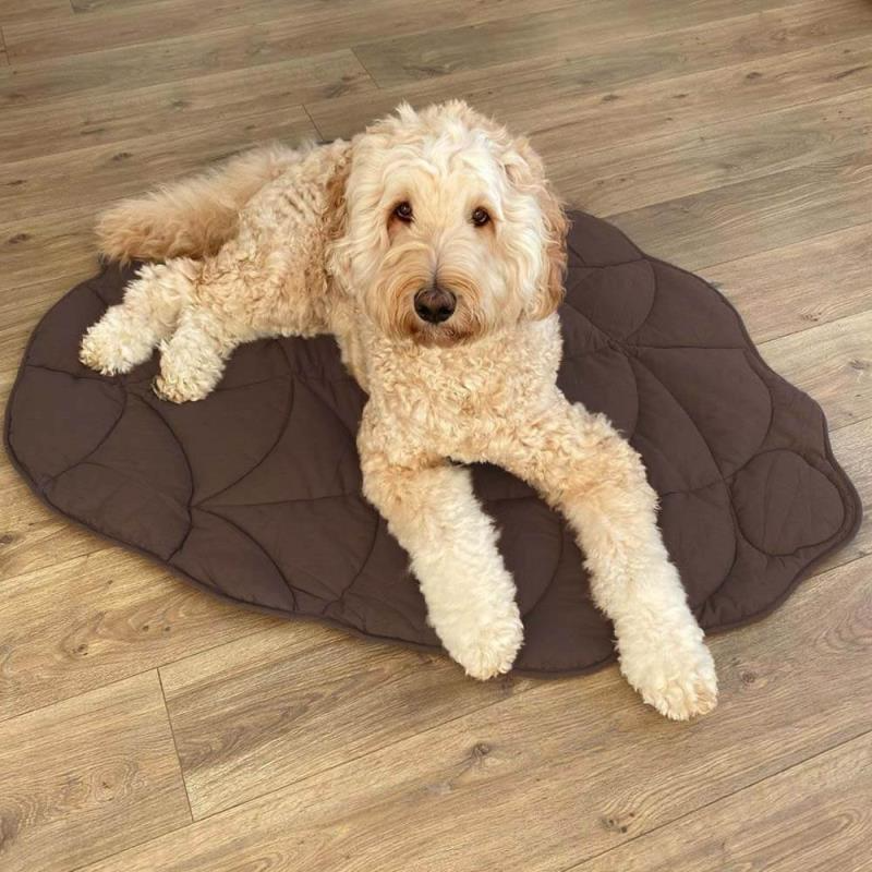 Dog Leaf Blanket