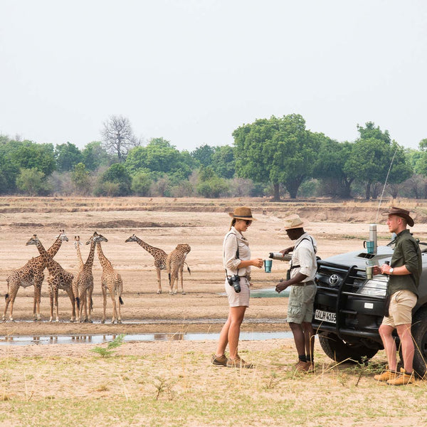 Dusty Boots Travel - Coffee time with the Giraffe at Kaingo Camp, South Luangwa National Park in Zambia