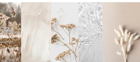 Neutral colours swatches from nature