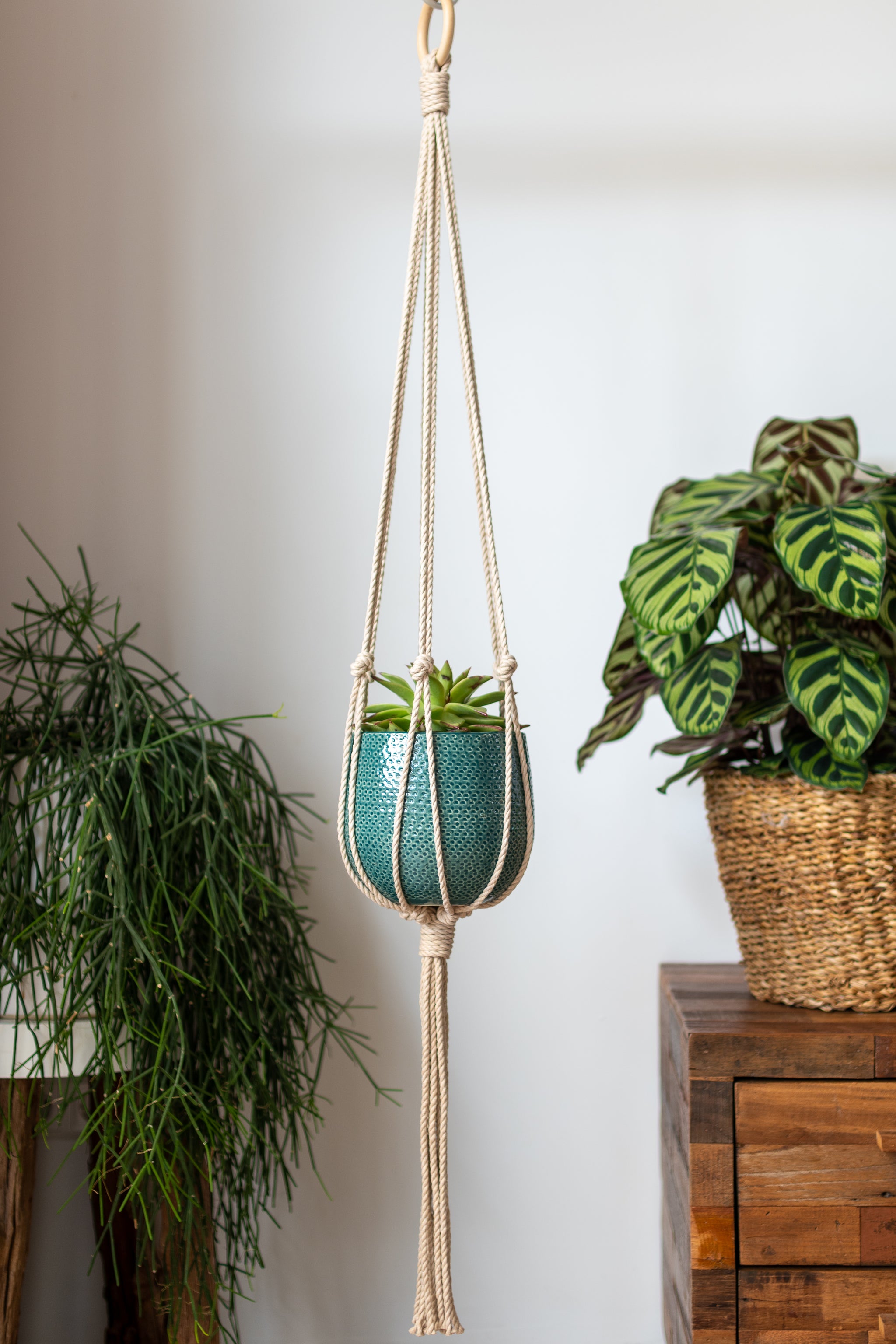 Minimalist Plant Hanger long - MangoAndMore