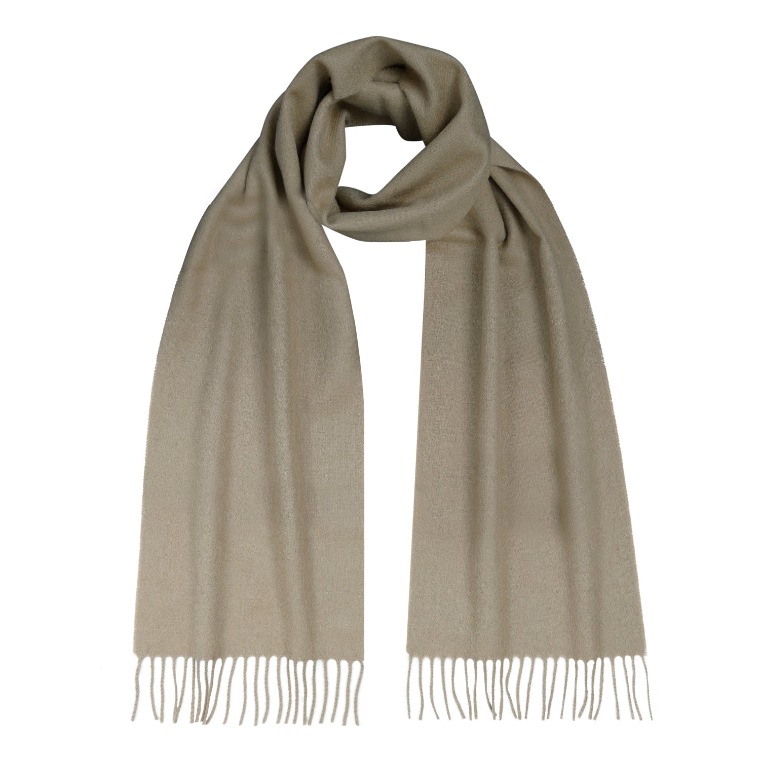 cashmere scarf shop