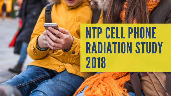 2018 年 NTP 携帯電話放射線調査