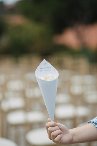 Petal cones for wedding.