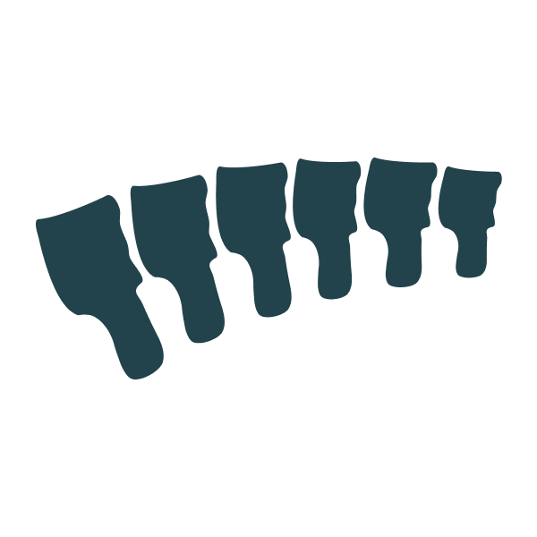 Icon 1