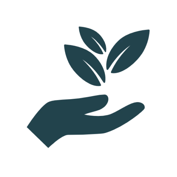 Icon 2