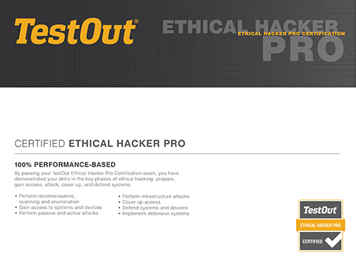 Ethical Hacker Pro certificate