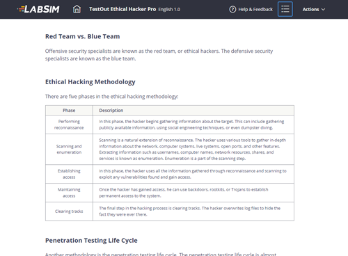 Ethical Hacker Pro text lesson