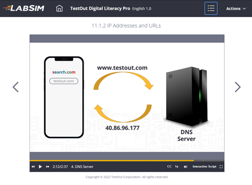 TestOut Digital Literacy Video Lesson