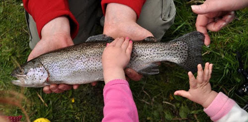 hands on fish