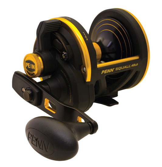 Penn Fathom 15 Lever Drag 2 Speed Multiplier Sea Fishing Reel - 129293 –  Fishingmad