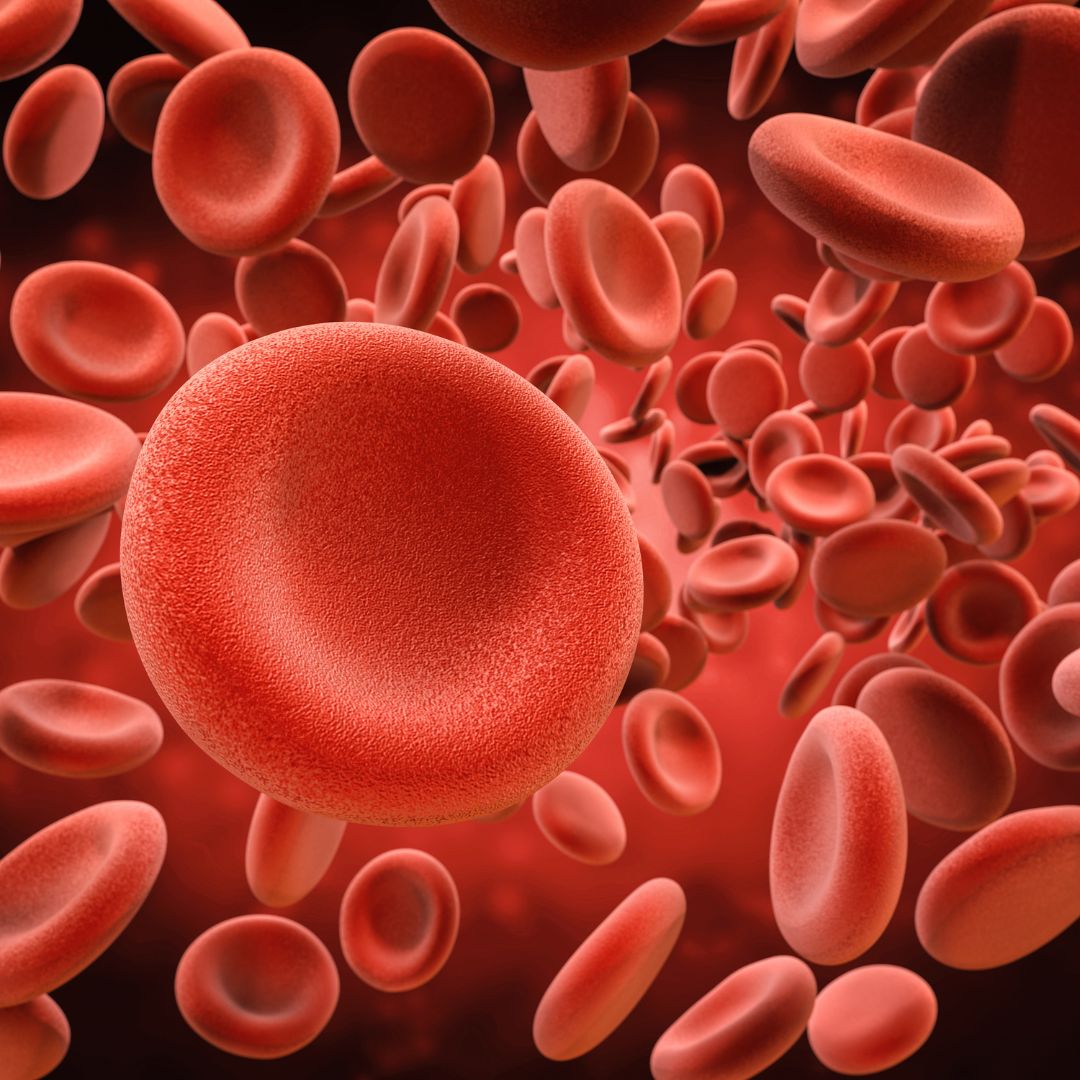 IMPROVES RED BLOOD CELL COUNT & FUNCTION image