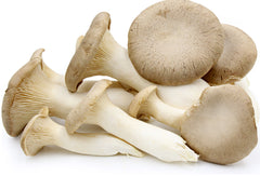 oyster mushrooms