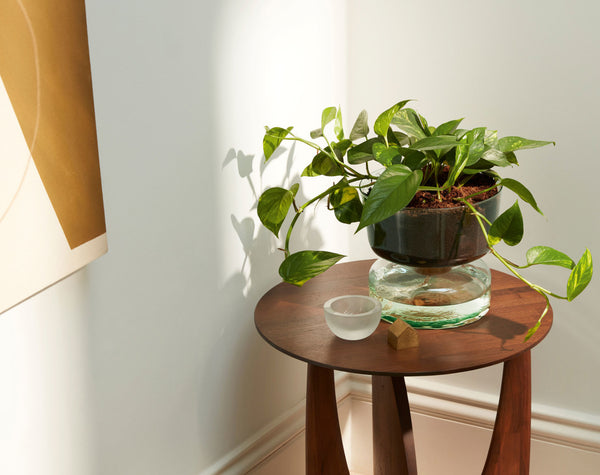 LSA International self watering planter