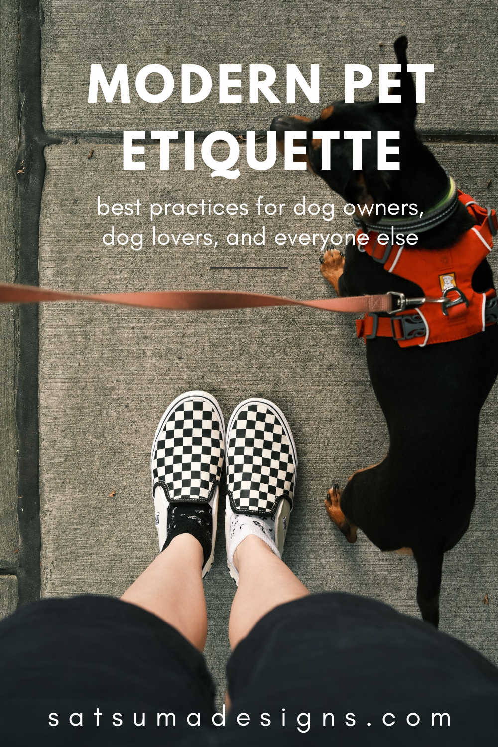 Person in black and white vans shoes holding dog leash with black dog wearing red harness