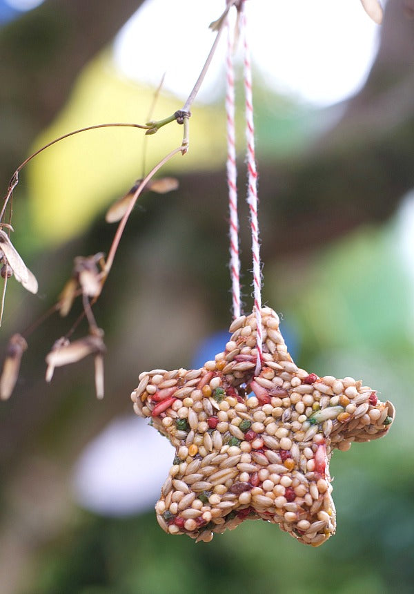 DIY Bird Feeder Ornaments | Free Printables - Satsuma Designs