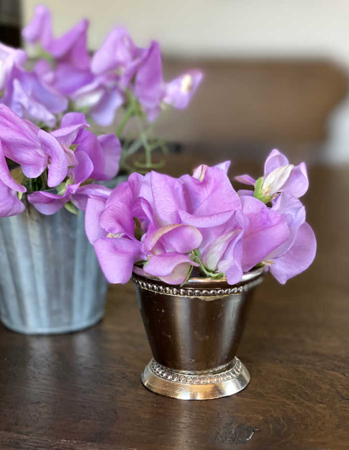 Photo of sweet pea flowers in a miniature mint julep cup