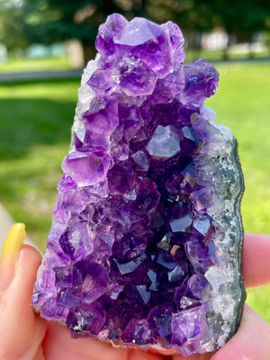 Uruguayan Amethyst Clusters - Medium            *Multiple Options Available* - Into the Woods Stones
