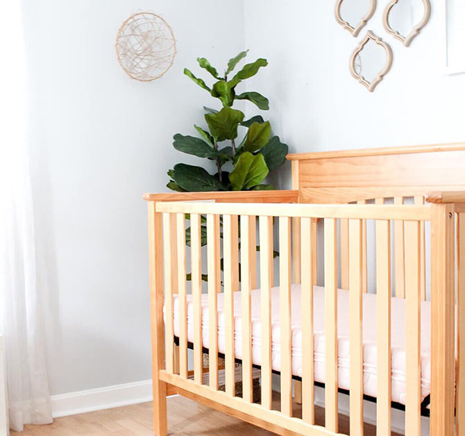 minimalist baby girl nursery with a fake plant in the corner