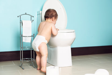 baby trying to get into toilet in bathroom