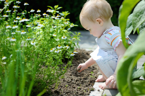 baby playing in garden