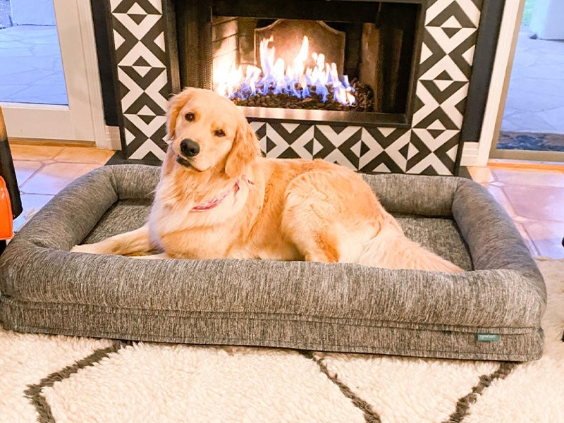 The Perfect Large Dog Bed For Your Fur Baby