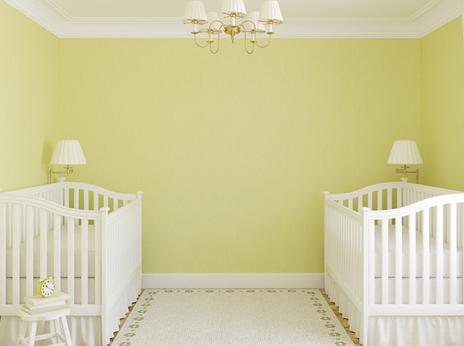 two cribs for twins in a nursery
