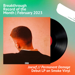 Joesef // Permanent Damage