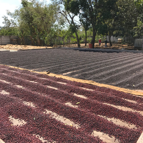 Drying patios