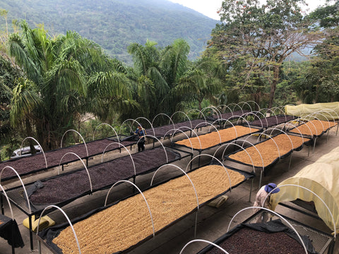 African drying beds