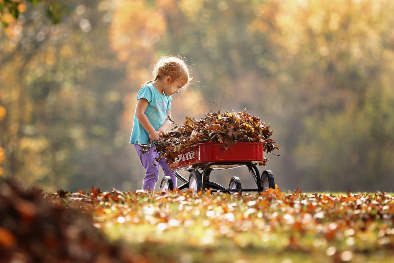 FallPlanting.jpg__PID:0ac57cf2-b2ff-4db1-a31d-53c2c171eab1