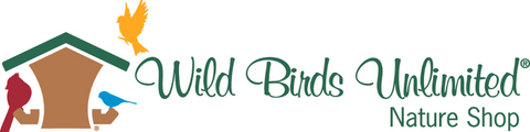 BirdReel Smart Bird Feeder