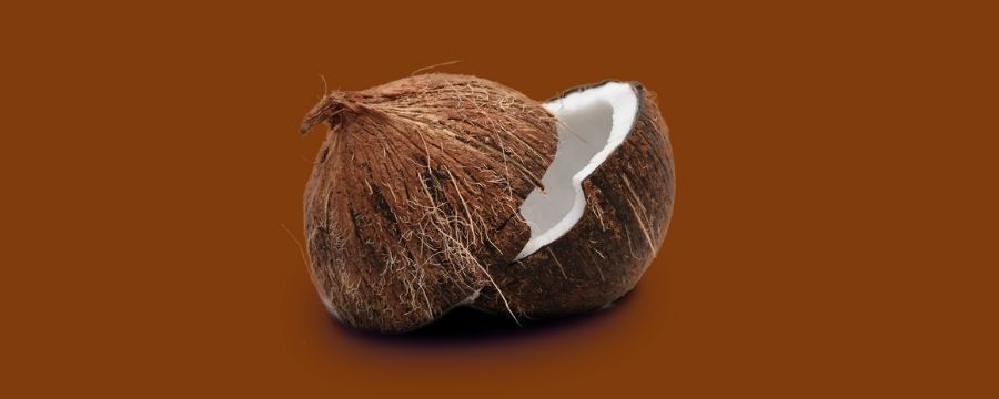 noix de coco