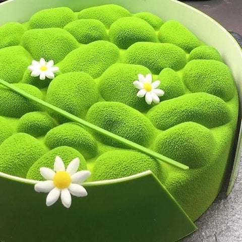 patisserie effet velours vert