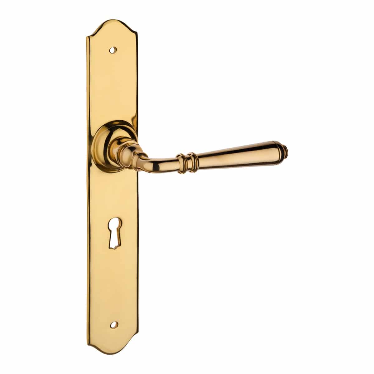 1041 Lever On Backplate Polished Brass