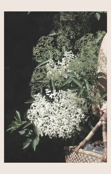 Foraged Elderflower Cake recipe - Wood Be Loved