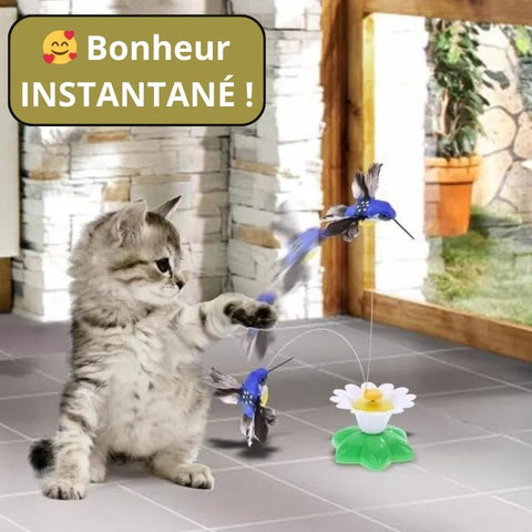 Jeux pour chat/ jouets pour chat / toys for cats