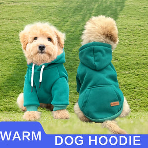 Dog Clothes Pet Dog Hoodie Small And Medium Dog Vest Outdoor Sweatshirt Bulldog - Dehillam