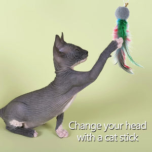 10Pcs Replacement Cat Feather Toys with Bell Interactive Cat Toys Cat Wand Toy - Dehillam