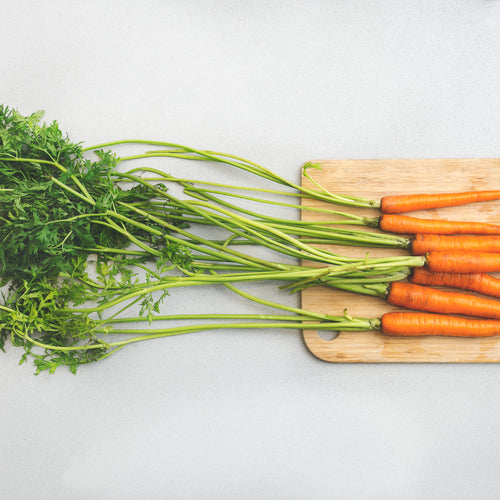 garden-carrots