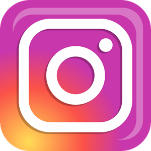 instagram-logo-2D3332C00B-seeklogo