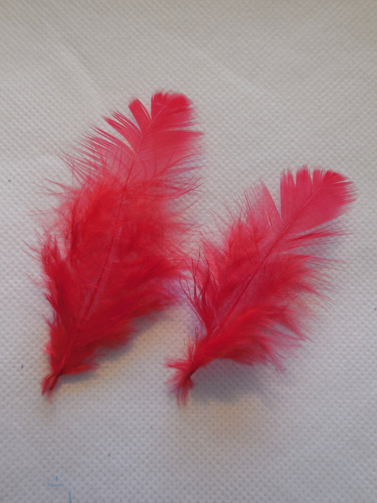 2pcs Red Stripped Hat Mount feather Millinery DIY craft feathers for s ...