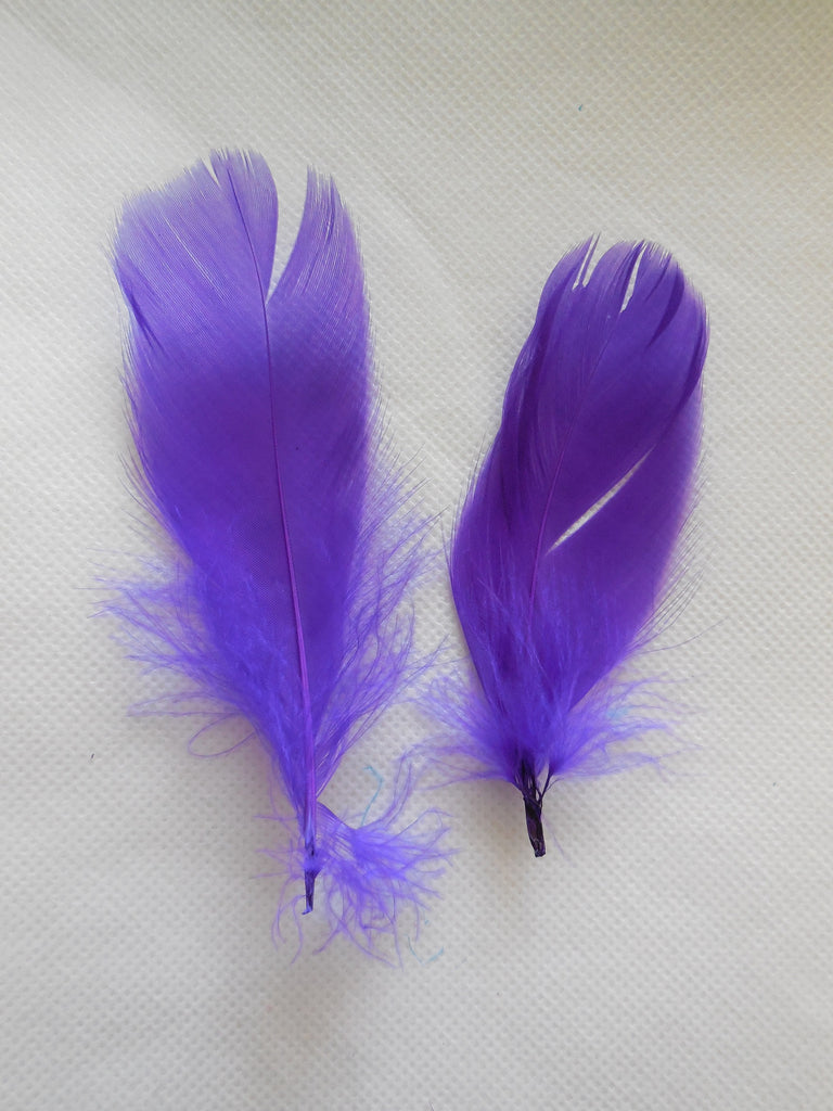 2pcs Purple Stripped Hat Mount feather Millinery DIY craft feathers fo ...