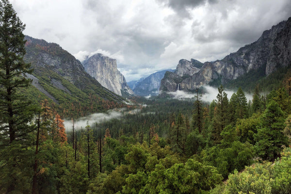 Majestic Valley of trees surrounded by cliffs