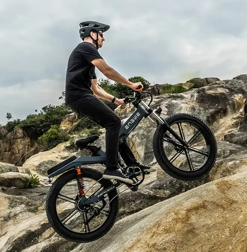 all terrain electric bike