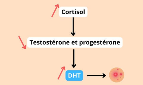 cortisol acné